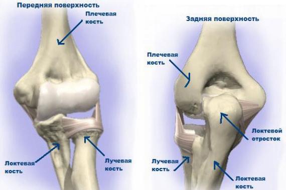 Как защитить суставы и связки во время тренировок?